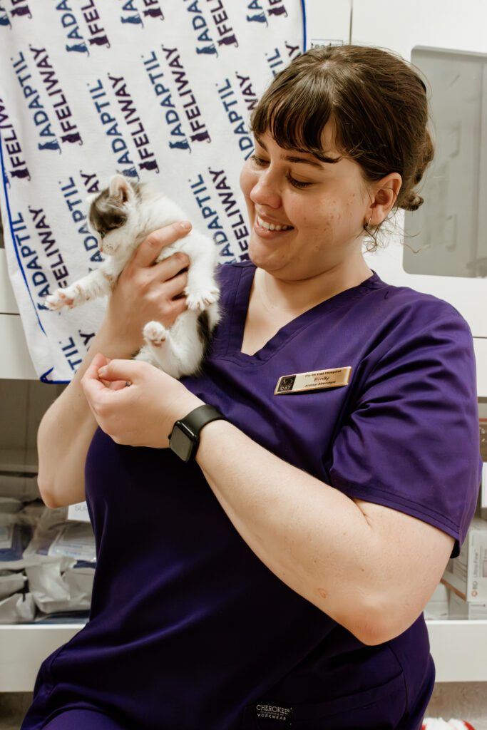 Corporate Event Photography