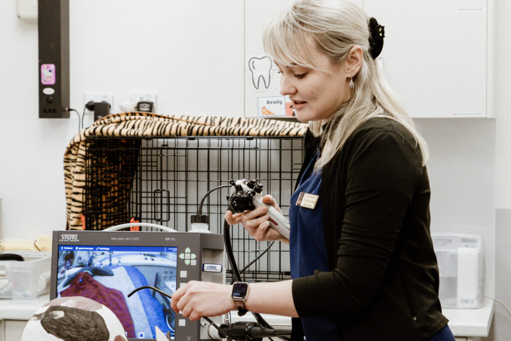 Corporate Event Photography