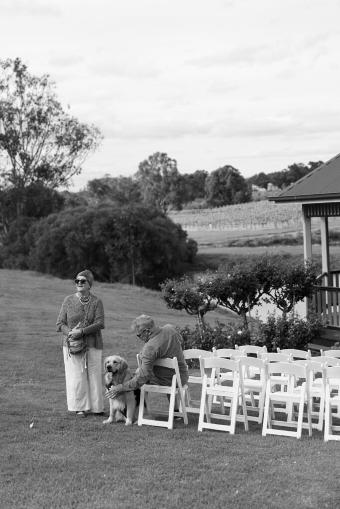 Sittella, Swan Valley