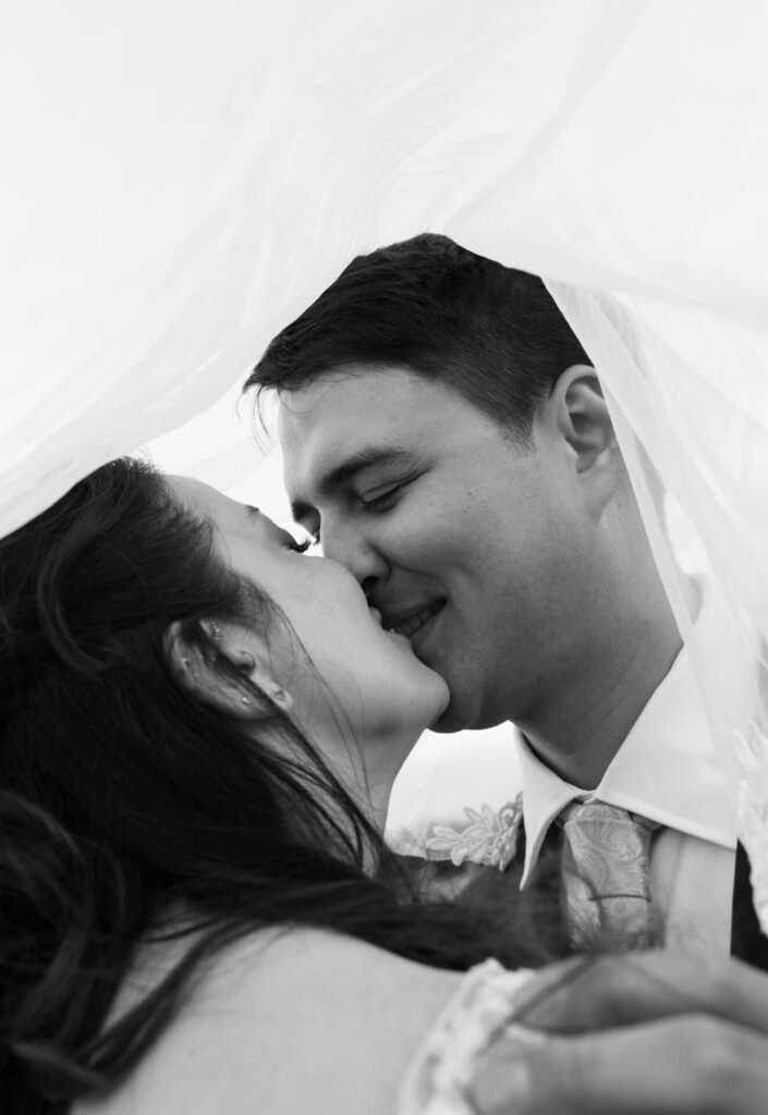 Sittella, Swan Valley Photographer